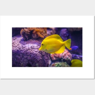 Cute Yellow Fish with Coral Posters and Art